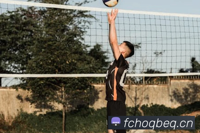 星空网网页版官方入口品牌故事