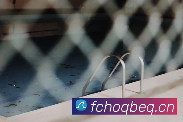 星空网网页版官方入口服务体系